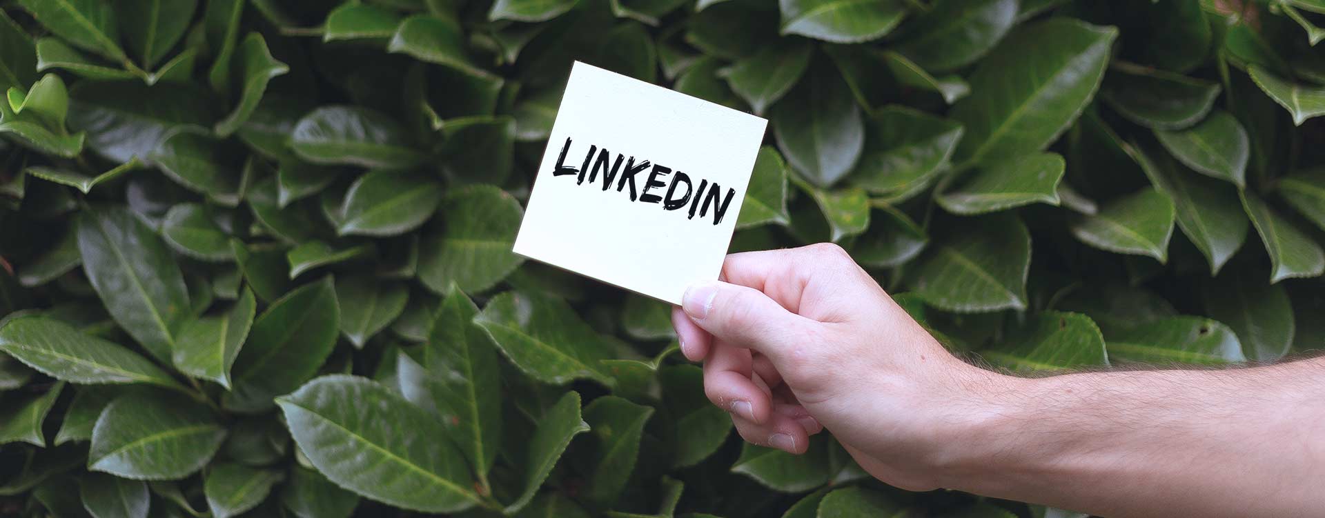 Beteor interim Linkedin tips